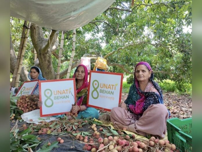 Global recognition for Indian litchi: Fresh litchi from Hoshiarpur, Punjab, reaches Oman for the first time; new opportunities to open up for farmers