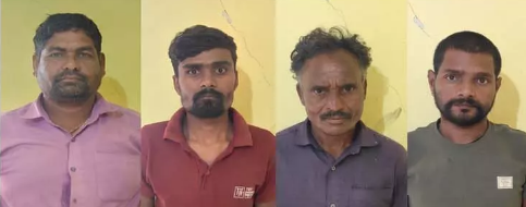 Major crackdown by Pandariya police on illegal cattle transport; 10 cattle recovered, 4 accused arrested