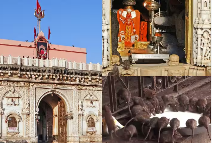 October 17 marks the 639th birth anniversary of Maa Karni; grand religious events will also be held in Raipur under the leadership of Raj Singh Shekhawat and Virendra Singh Tomar
